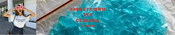 твердый Вяземский