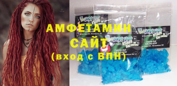 твердый Вяземский