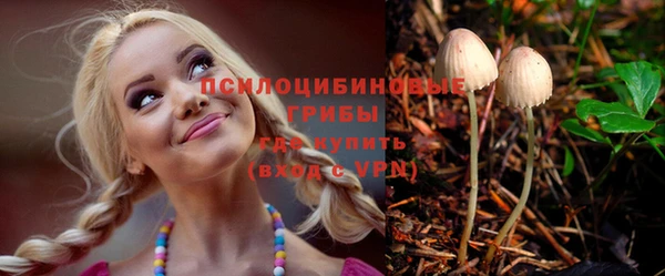 крисы Вязники