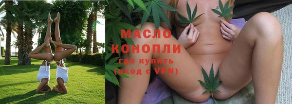 твердый Вяземский