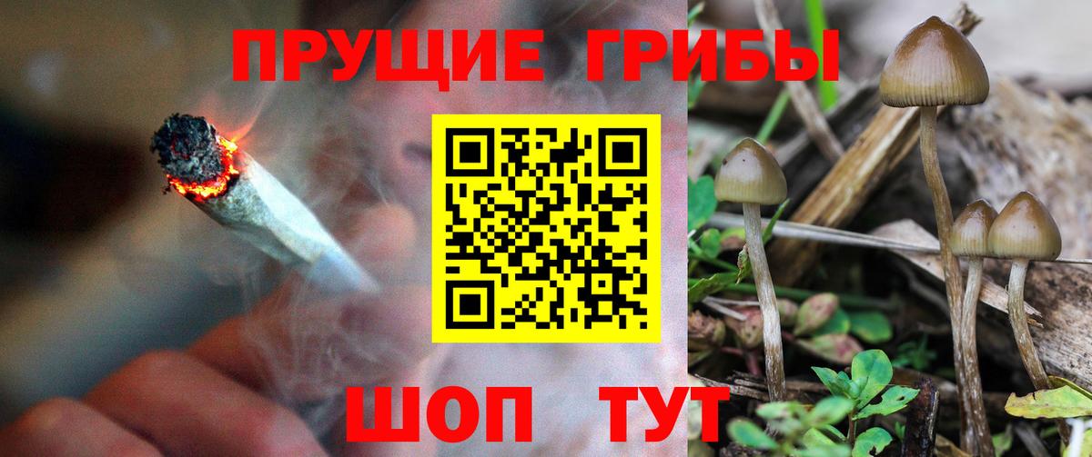 Ноябрьск  Галлюциногенные грибы GOLDEN TEACHER  наркотики  Вход с VPN 