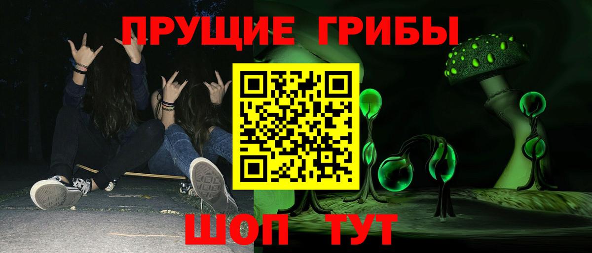 Псилоцибиновые грибы Psilocybe Ноябрьск