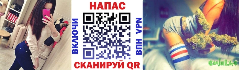 Конопля сатива ОМГ ОМГ как зайти Ноябрьск