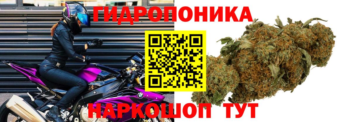 МАРИХУАНА марихуана Ноябрьск